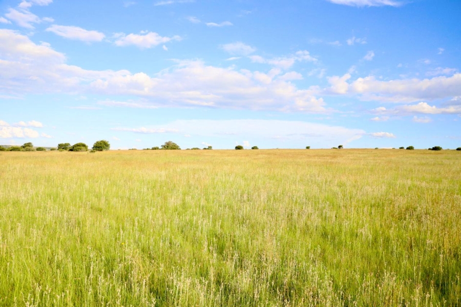 0 Bedroom Property for Sale in Heilbron Free State